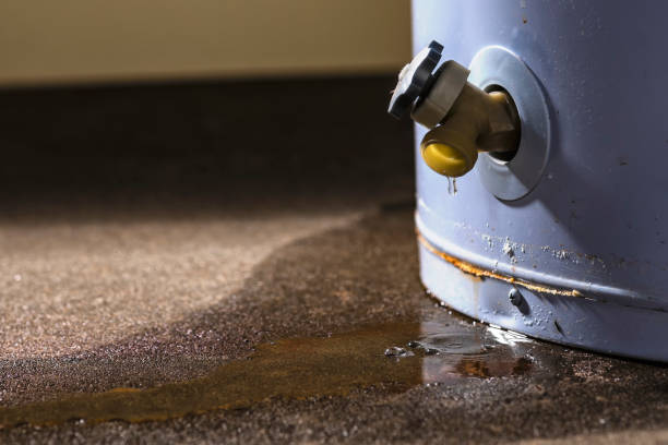 Best Water damage restoration services  in Susanville, CA