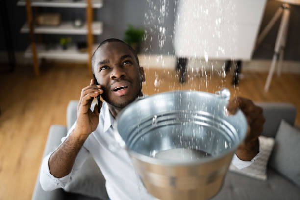 Best Mold removal after water damage  in Susanville, CA