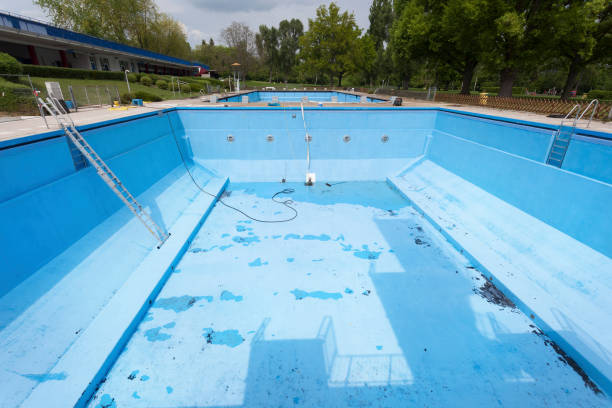 Best Mold removal after water damage  in Susanville, CA