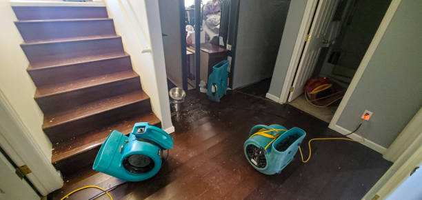 Best Flooded house restoration  in Susanville, CA