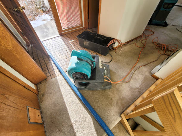 Best Fire Damage Restoration  in Susanville, CA