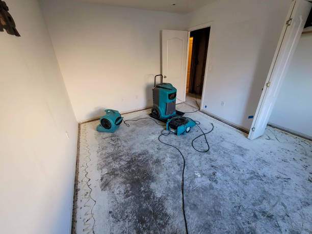 Best Water damage restoration near me  in Susanville, CA