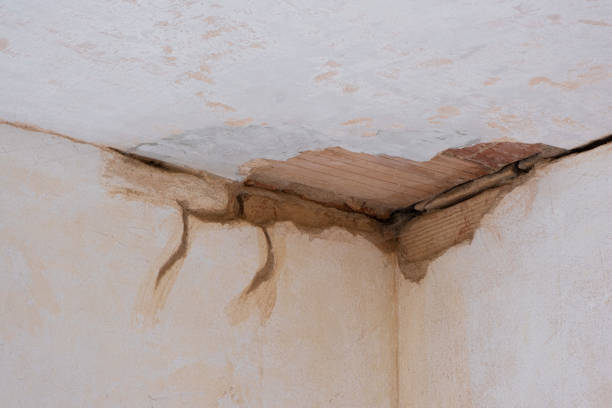 Best Ceiling water damage repair  in Susanville, CA