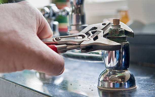 Best Professional water damage repair  in Susanville, CA