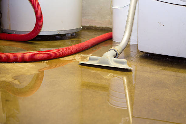 Best Water damage mitigation services  in Susanville, CA
