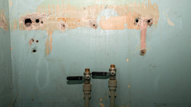 Best Flood restoration services  in Susanville, CA