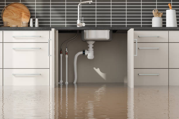 Best Flood damage cleanup  in Susanville, CA