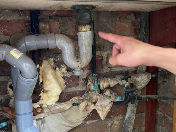 Best Sewage cleanup and water damage restoration  in Susanville, CA