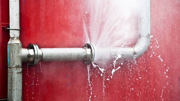 Best Water damage restoration process  in Susanville, CA