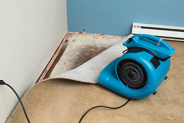 Best Water damage contractors near me  in Susanville, CA